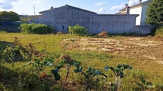 Terreno de 296 m² em Coimbra