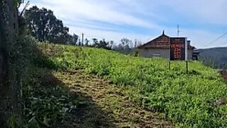 Land for sale in Albergaria-a-Velha, Portugal — €28,500