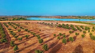 Terreno em Beja · 8750 m² · 33 000 €