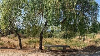 Land for sale in Mangualde, Portugal — €85,000