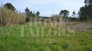 Land for sale in Anadia, Portugal — €55,000
