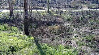 Land for sale in Vila Nova de Cerveira, Portugal — €85,000