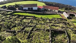 Land for sale in Madalena, Portugal — €85,000