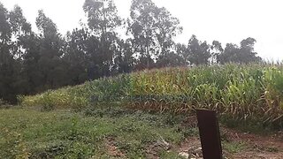 Land for sale in Póvoa de Varzim, Portugal — €200,000