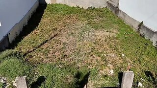 Terreno em Castelo Branco · 328 m² · 35 000 €