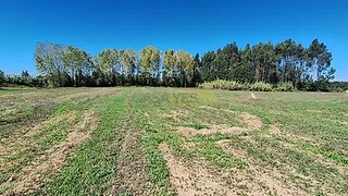 Land for sale in Vagos, Portugal — €25,000