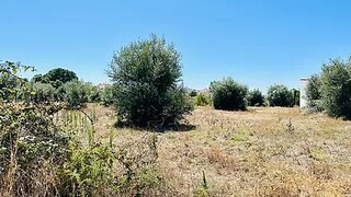 Land for sale in Abrantes, Portugal — €24,000