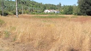 Land for sale in Tábua, Portugal — €39,000
