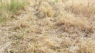 Land for sale in Águeda, Portugal — €105,000