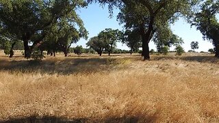 Land for sale in Grândola, Portugal — €350,000