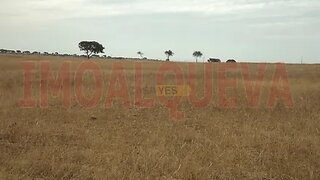 Land for sale in Reguengos de Monsaraz, Portugal — €23,000