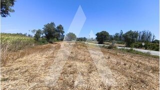 Land for sale in Albergaria-a-Velha, Portugal — €135,000