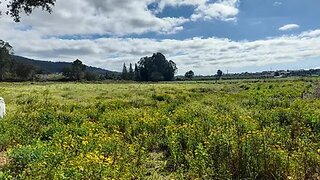 Land for sale in Barcelos, Portugal — €47,500