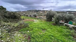 Land for sale in Tabuaço, Portugal — €15,000