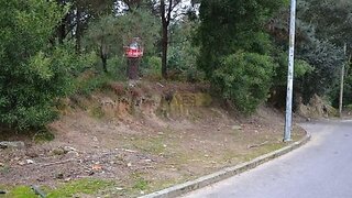 Terreno em Sernancelhe