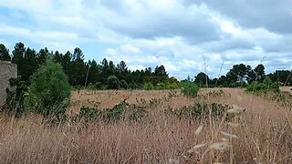 Land for sale in Salvaterra de Magos, Portugal — €75,000