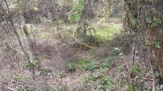 Terreno em Paredes de Coura