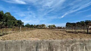 Land for sale in Estarreja, Portugal — €30,000