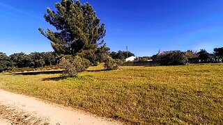 Land for sale in Chamusca, Portugal — €515,000