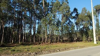 Land for sale in Marinha Grande, Portugal — €80,500
