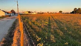 Land for sale in Salvaterra de Magos, Portugal — €320,000