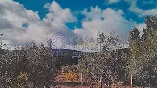 Terreno em Covilhã