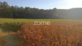 Land for sale in Trofa, Portugal — €150,000