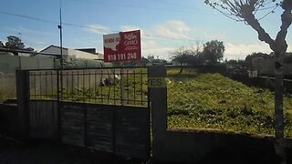 Terreno em Anadia · 820 m² · 58 000 €