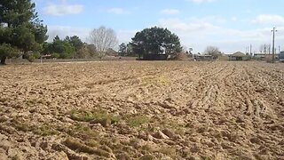 Land for sale in Salvaterra de Magos, Portugal — €390,000