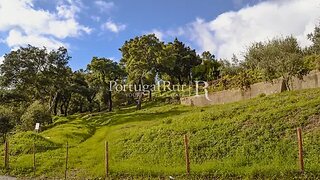 Land for sale in Proença-a-Nova, Portugal — €65,000