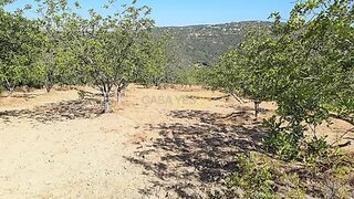 Land for sale in Loulé, Portugal — €56,500