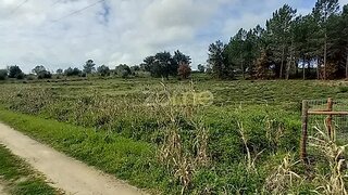 Terreno em Cartaxo · 10 172 m² · 60 000 €