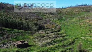 Land for sale in Fundão, Portugal — €70,000