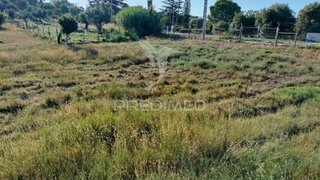 Land for sale in Torres Novas, Portugal — €87,000