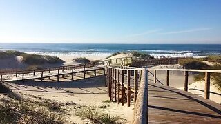 Land for sale in Murtosa, Portugal — €190,000