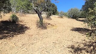 Terreno em Loulé