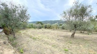 Terreno em Penalva do Castelo