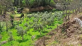 Land for sale in Castelo de Paiva, Portugal — €53,750
