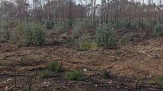 Land for sale in Águeda, Portugal — €75,000