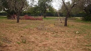 Land for sale in Loulé, Portugal — €60,000