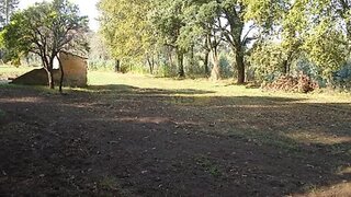 Land for sale in Albergaria-a-Velha, Portugal — €90,000