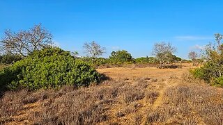Land for sale in Silves, Portugal — €95,000