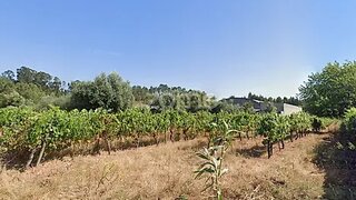 Terreno em Anadia · 1652 m² · 25 000 €