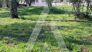 Land for sale in Vila Nova de Poiares, Portugal — €28,000
