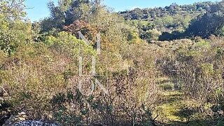 Land for sale in Loulé, Portugal — €25,000