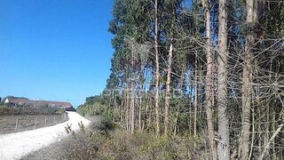 Land for sale in Lourinhã, Portugal — €30,000