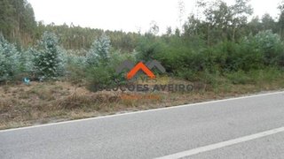 Land for sale in Albergaria-a-Velha, Portugal — €20,000