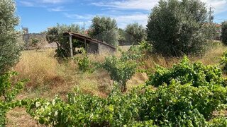 Terreno · 2200 m² · 47 500 €
