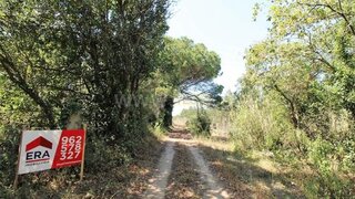 Land for sale in Alcobaça, Portugal — €21,500