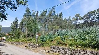 Land for sale in Sever do Vouga, Portugal — €40,000